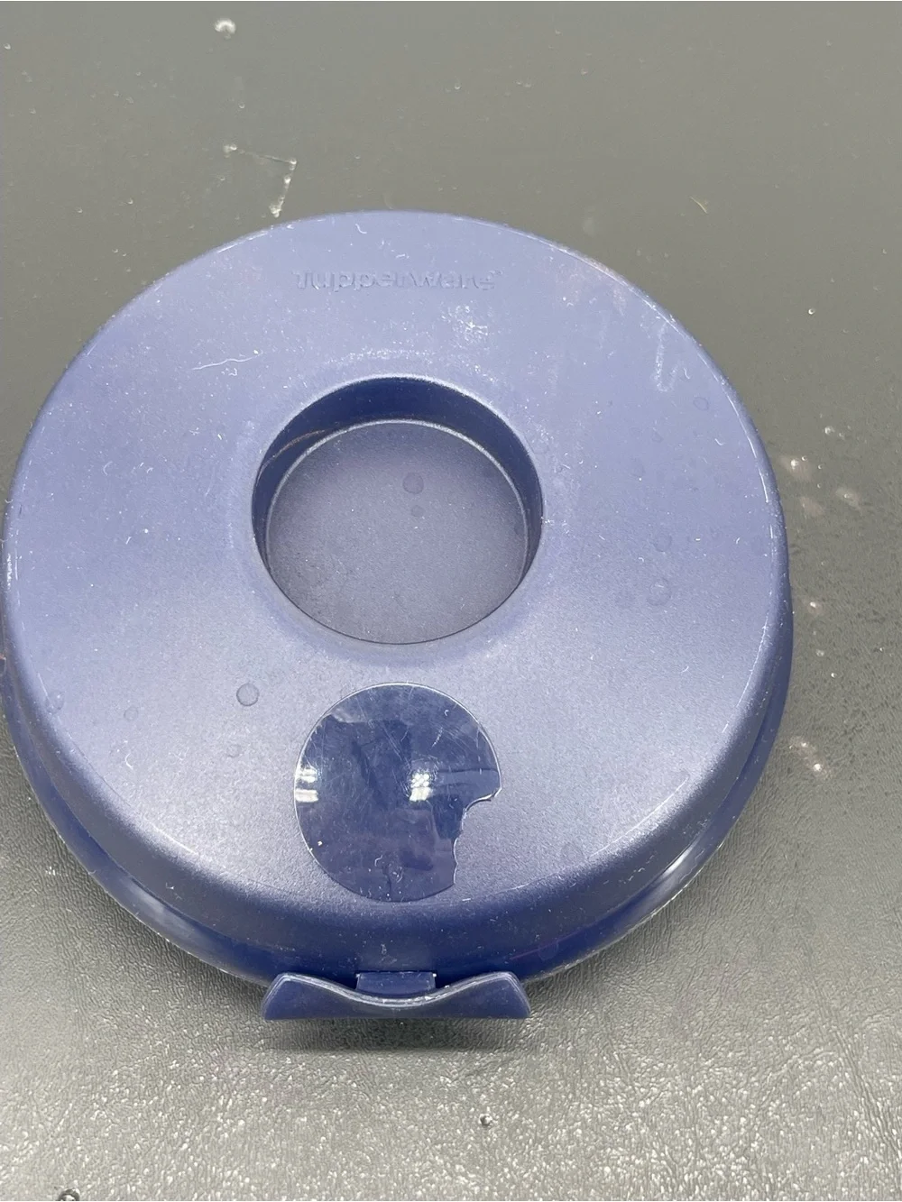 Tupperware Round Navy Bagel Container